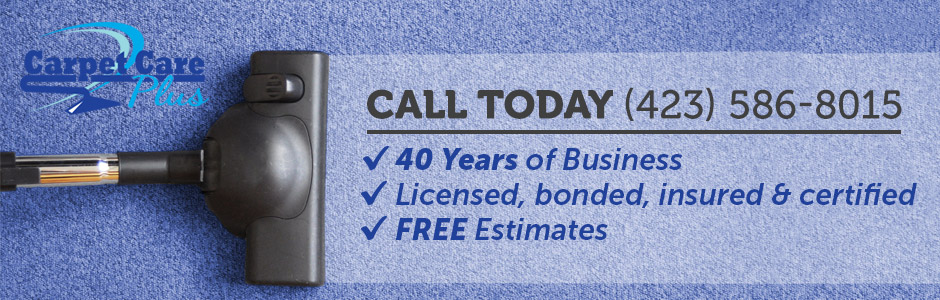 brand window Carpet Cleaners